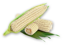 product category images