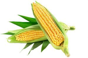 product category images