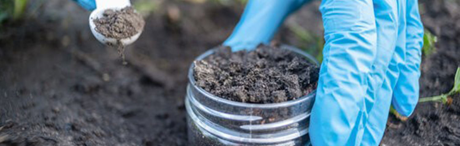 Soil Physics And Soil-Life